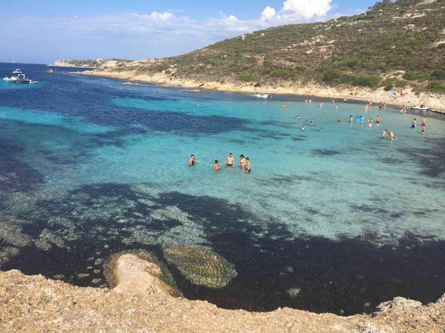 Exceptionnelle Vue Mer Calvi - Piscine - T2 Eksteriør bilde