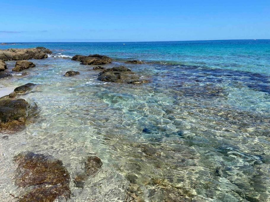 Exceptionnelle Vue Mer Calvi - Piscine - T2 Eksteriør bilde
