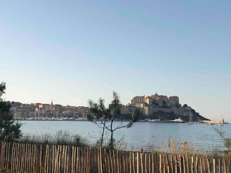 Exceptionnelle Vue Mer Calvi - Piscine - T2 Eksteriør bilde